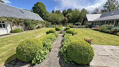 Summer courtyard