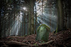 SpessArt Fotos