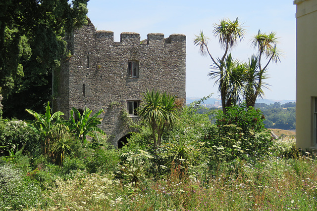 trematon castle (37)