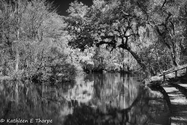 Hillsborough River State Park 008