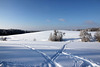 Spuren im Schnee Blickrichtung Nord -  (PicinPic)