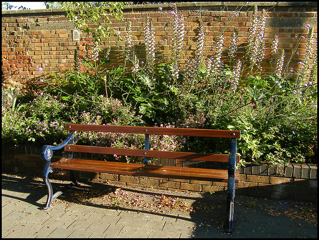 seat on a summer morning