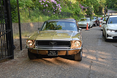 cfmbmay252023 (1171)