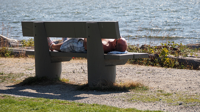 The Zen of Bench