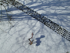 Shadows in the snow