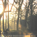 Morgenstimmung