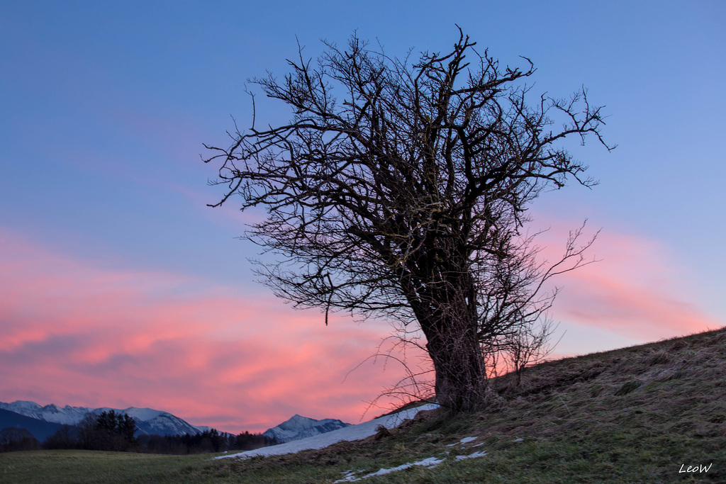 Abendstimmung 2018