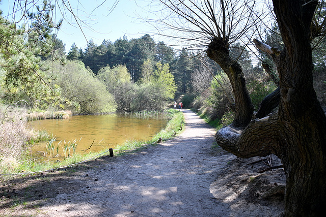 Parc Ornithologique du Marquenterre