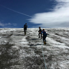 Icefield climbers.