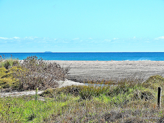 Beach View.