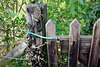 Lacock: Allotments