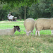 henry moore foundation, perry green, herts