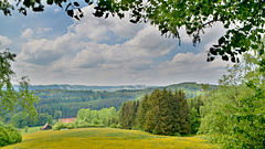 Schwäbisch-Fränkischer Wald