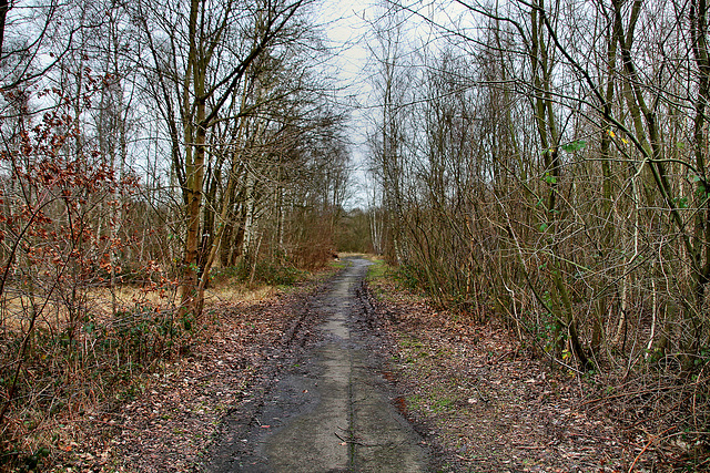 Verwildertes Gelände der ehem. Zeche Emscher-Lippe 3/4 (Datteln) / 5.01.2018