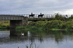 Horses crossing a bridge!  HFF!