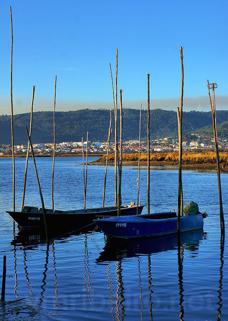 Barcos em Darque