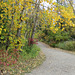 Votier's Flats, Fish Creek Park