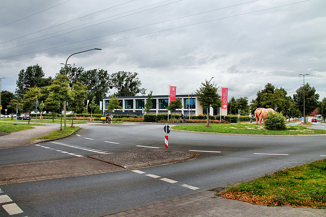 Kreisverkehr Rhynerberg (Hamm-Berge) / 6.07.2024