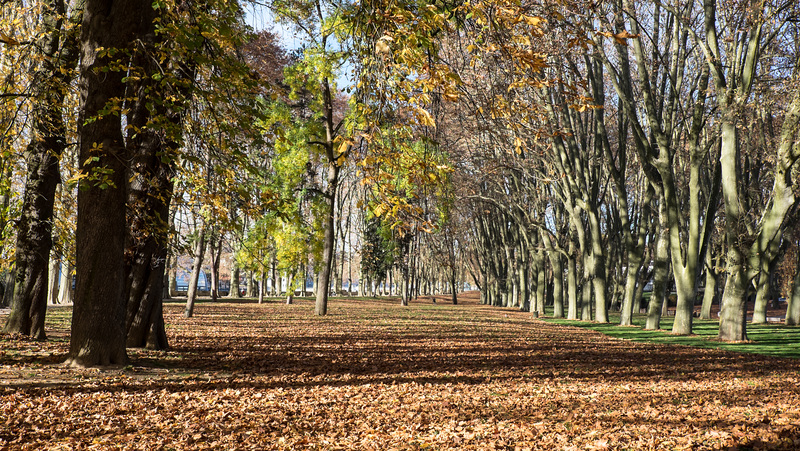 BESANCON: Le parc Chamars 01.