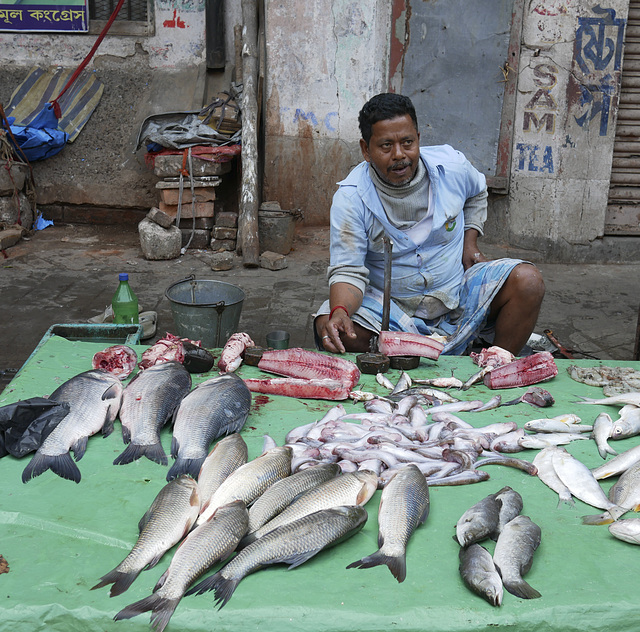 Fish market-3