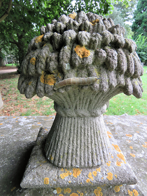 aldeburgh church, suffolk fat caterpillar on wheatsheaf of vernon family tomb of c.1959.(50)