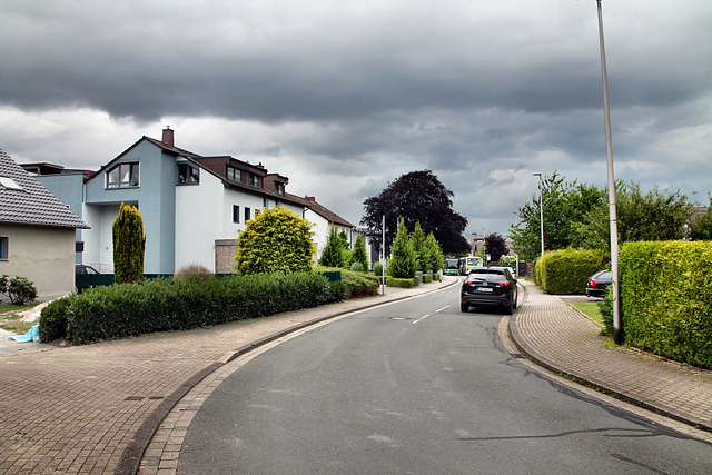 Fischerstraße (Hamm-Berge) / 6.07.2024