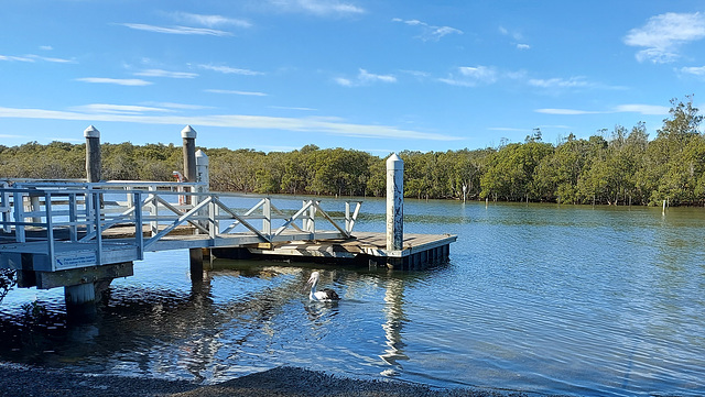 150/365 2026 Manning River