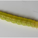 IMG 3922 Caterpillar