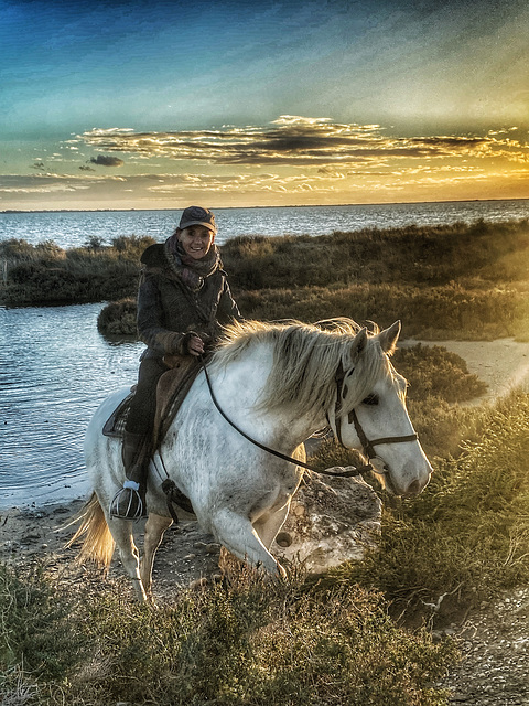 Pferd der Camargue