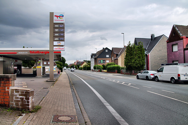 B63 Werler Straße (Hamm-Berge) / 6.07.2024