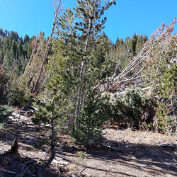 20181020 124705 20181020 124705