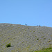 Alaska, Climbing the Right Bank Moraine of the Worthington Glacier