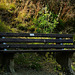 Hidden Bench Message ;-)