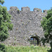 trematon castle (33)