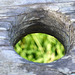 Hole Above The Ground