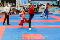 wchamp-8807 29468850803 o wchamp-8807 29468850803 o