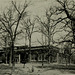 The Aptly Named Oak Terrace School, 1935, Highwood, Illinois