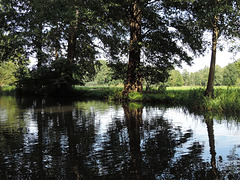 Spreewald - Große Spree