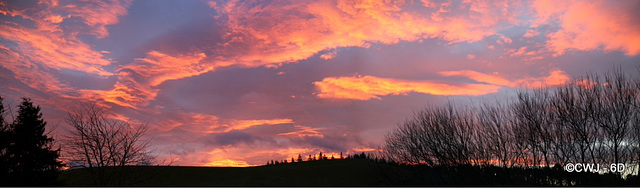 Pre-dawn skies at 08.45 this morning - shortest day.