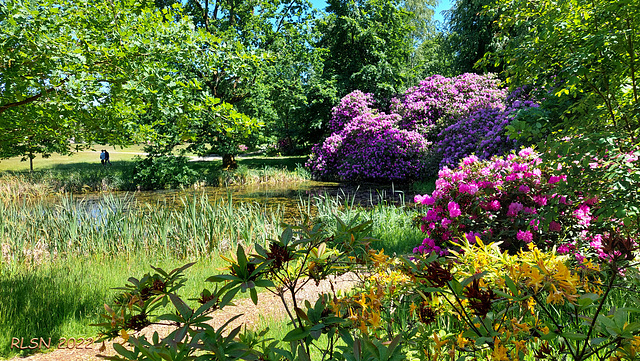 Wiligrad, am Schlossteich