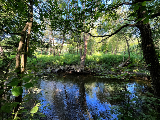 Nette Spiegelung