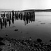 Bodega Bay