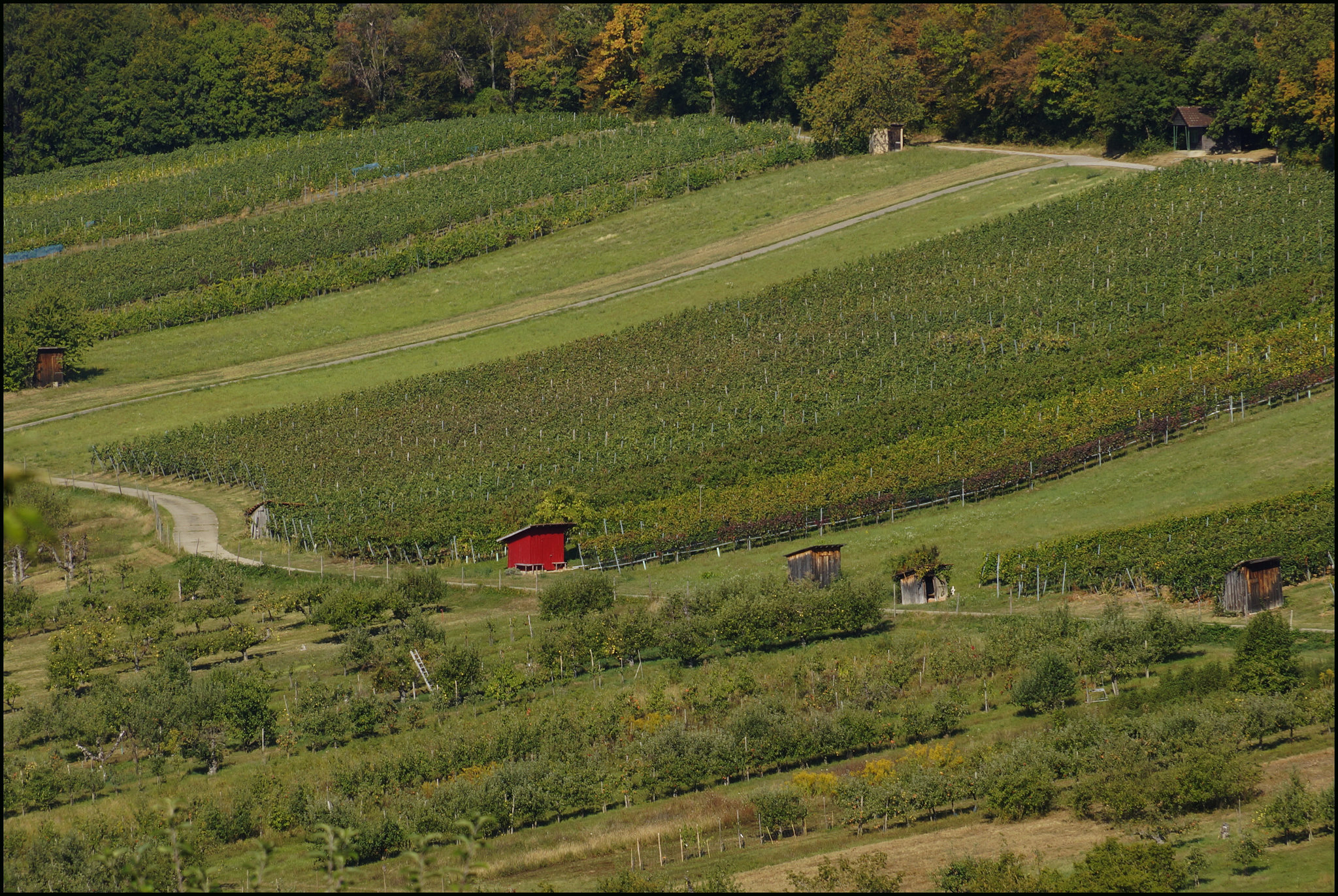 Idylle in Dietlingen