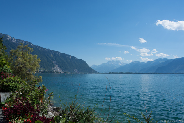 an der Uferpromenade von Montreux (© Buelipix)