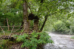 Bulgaria, Blagoevgrad, The Shelter with the Bench for Observing the River of Bistritsa in the Park of Bachinovo