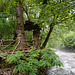 Bulgaria, Blagoevgrad, The Shelter with the Bench for Observing the River of Bistritsa in the Park of Bachinovo