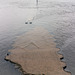 Slipway from Which the RMS 'Queen Mary', the RMS 'Queen Elizabeth' and the RMS 'Queen Elizabeth 2' were Launched