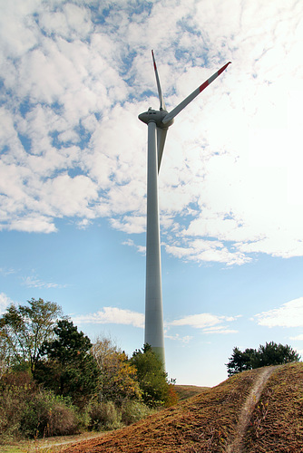 Windrad auf der Halde Hoppenbruch (Herten) / 15.10.2018