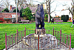 Au Jardin d'Halluin...HBM.