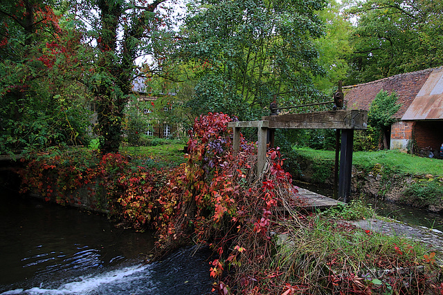 A Damville , en Normandie